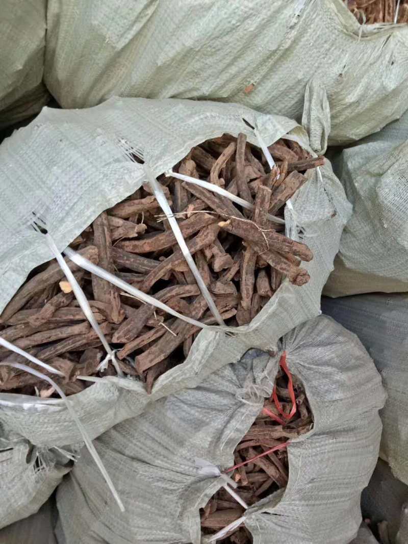 甘肃大黄瓜皮水银产地直发货源充足可视频看货
