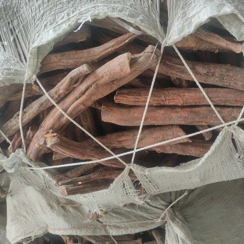 甘肃大黄瓜皮水银产地直发货源充足可视频看货