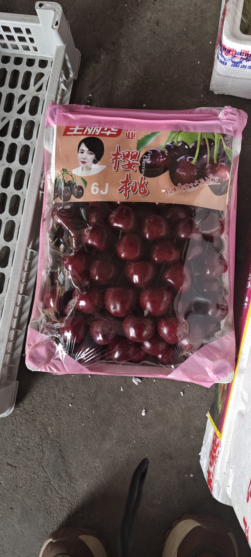 大连瓦房店樱桃，现摘现发美早脆甜满汁
