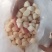 出售扇贝丁，量大优惠