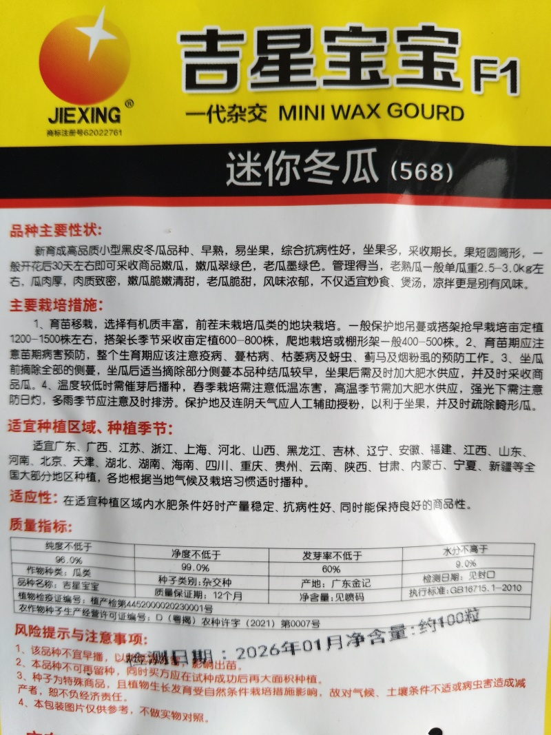 新育成高品质迷你型黑皮冬瓜种子新品种早熟坐果多的冬瓜种