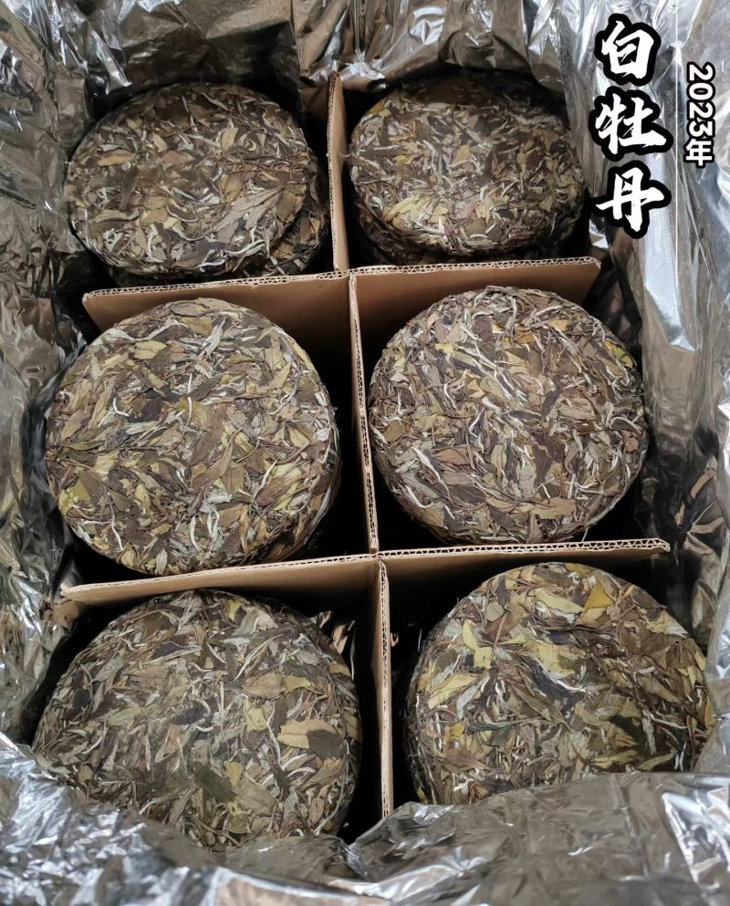 福鼎白茶
