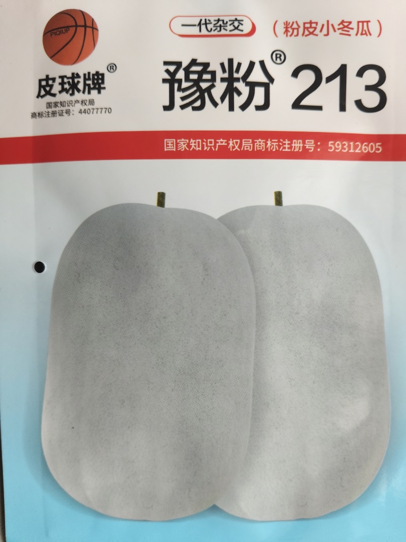 杂交豫粉213种子粉皮小冬瓜种子迷你型冬瓜种子品种单