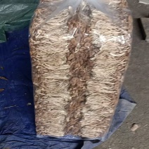 正宗江西广昌3号茶树菇