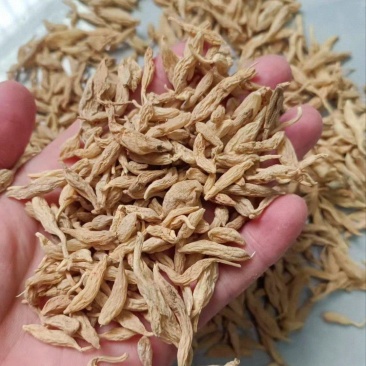 湖北野生麦冬500g正品可配玉竹泡水非川麦冬100g药材