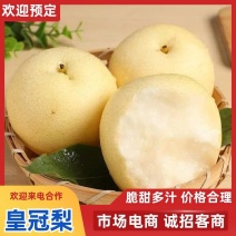 河北皇冠梨产地直供脆甜多汁新鲜水果批发货源足