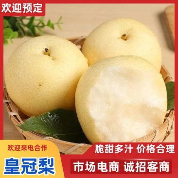河北皇冠梨产地直供脆甜多汁新鲜水果批发货源足