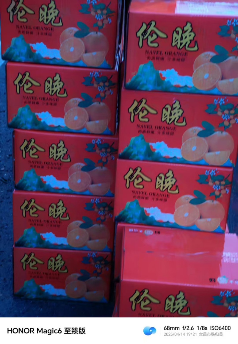 湖北宜昌秭归伦晚脐橙产地直发，保证质量