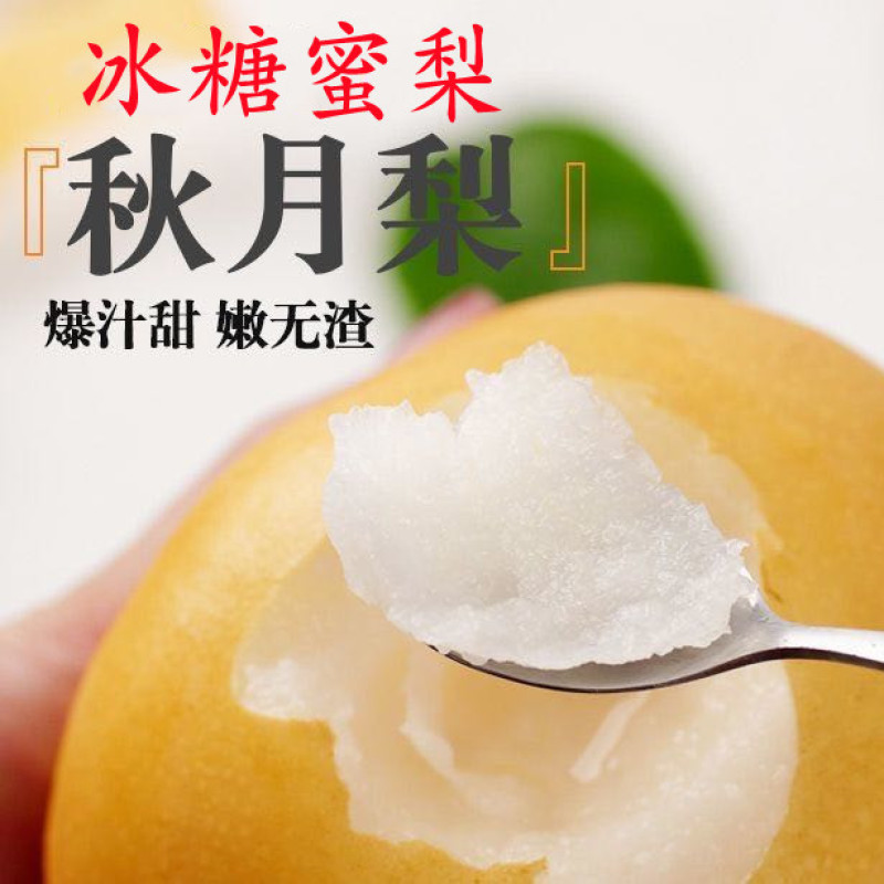 河北秋月梨冷库现货细腻化渣整箱批发一手货源