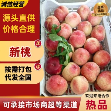 新鲜毛桃脆甜多汁产地直供水果批发量大从优