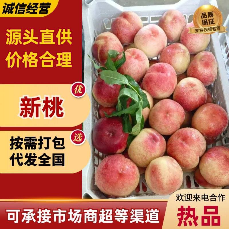 新鲜毛桃脆甜多汁产地直供水果批发量大从优