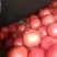 西红柿🍅