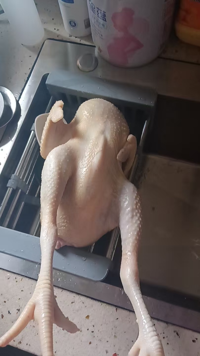 土鸡