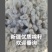 新疆棉子，棉饼