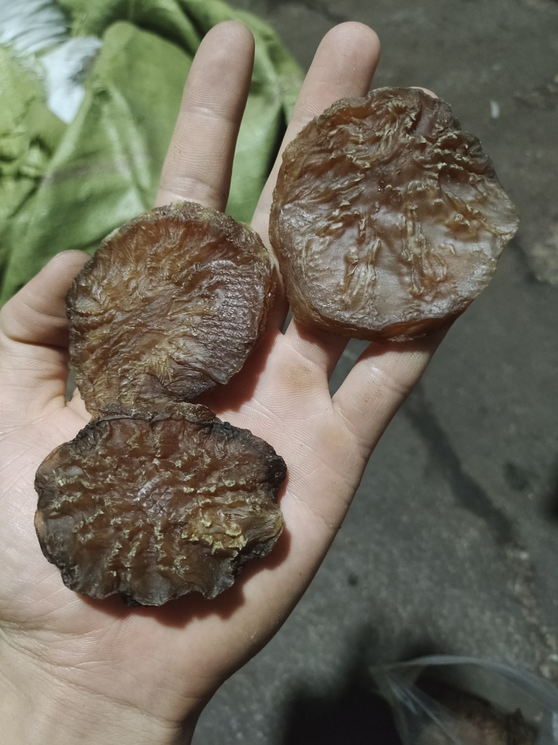 新疆精品软肉苁蓉黑片生切片药食同源产地直发