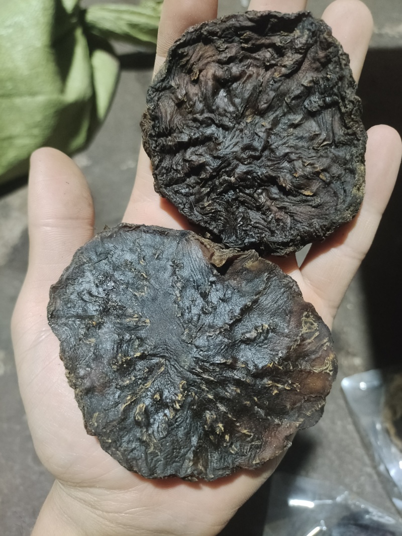 新疆精品软肉苁蓉黑片生切片药食同源产地直发