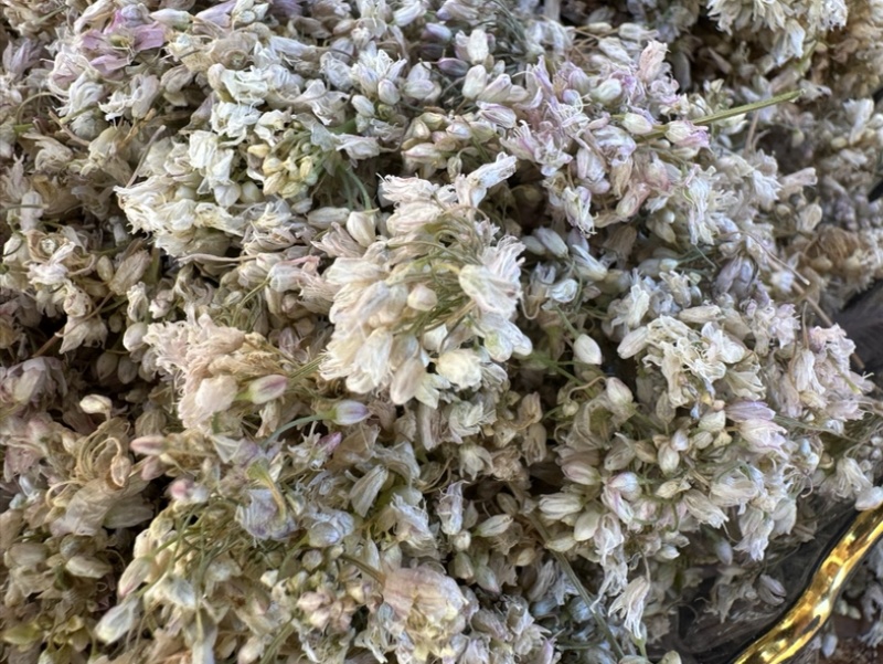 甘肃野生洋湖花麻麻花山蒙花代发/大货