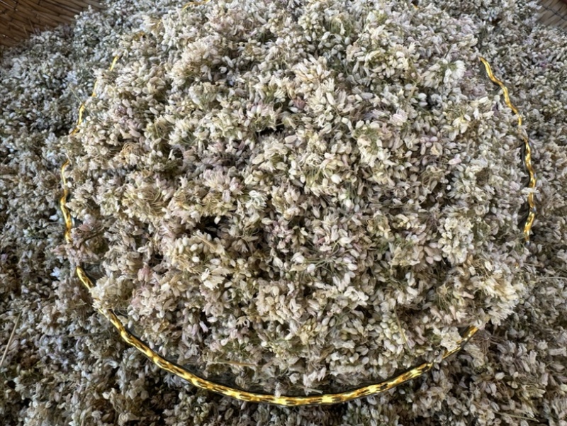 甘肃野生洋湖花麻麻花山蒙花代发/大货