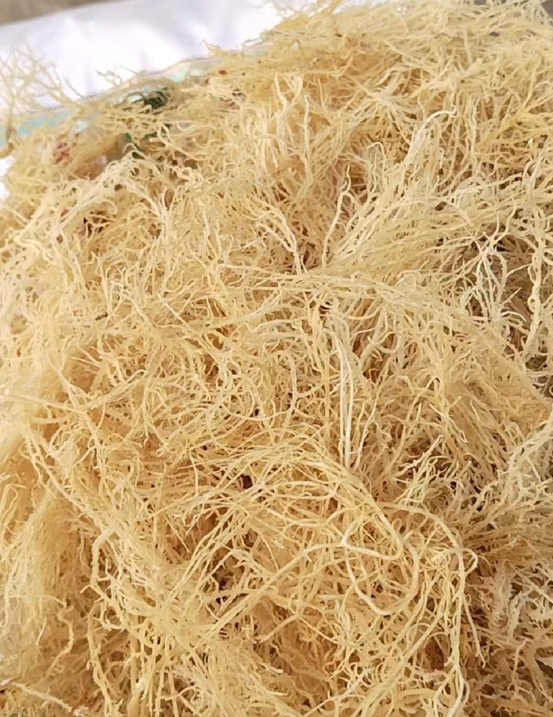 龙须菜全干凉拌菜干到扎手龙须菜干货火锅店凉拌海藻批发带盐
