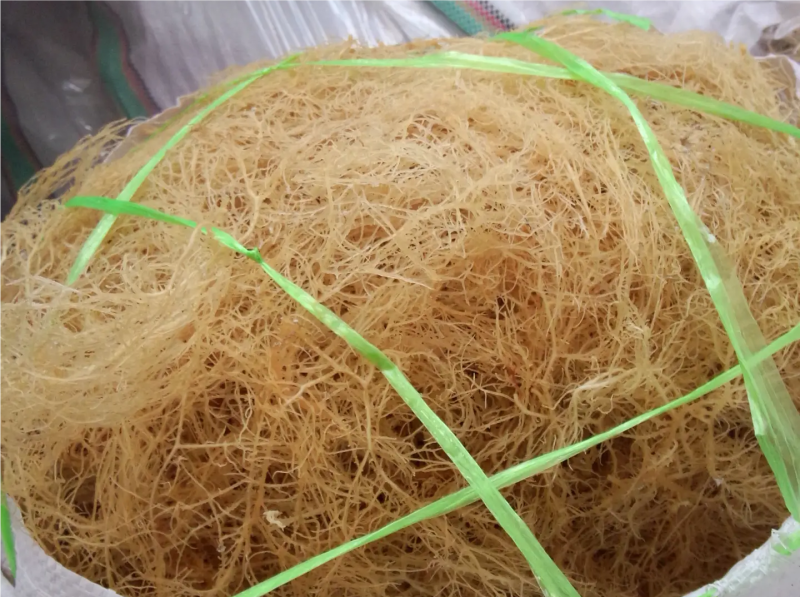 龙须菜全干凉拌菜干到扎手龙须菜干货火锅店凉拌海藻批发带盐