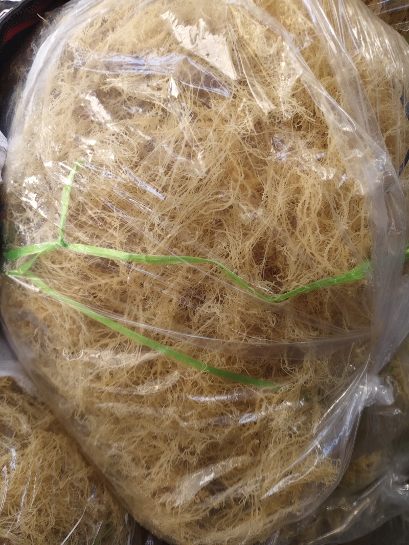 龙须菜全干凉拌菜干到扎手龙须菜干货火锅店凉拌海藻批发带盐