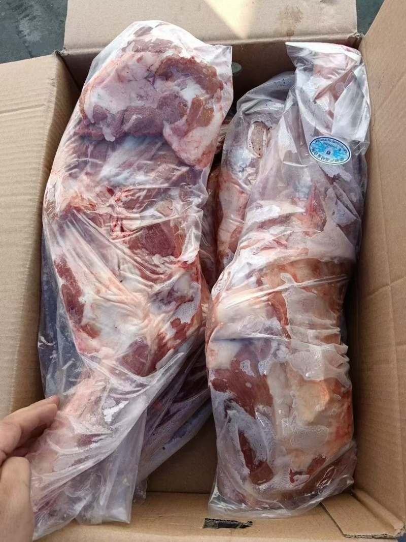 内蒙古精品羊副产品羊前腿/诚信经营/量大从优/工厂直发