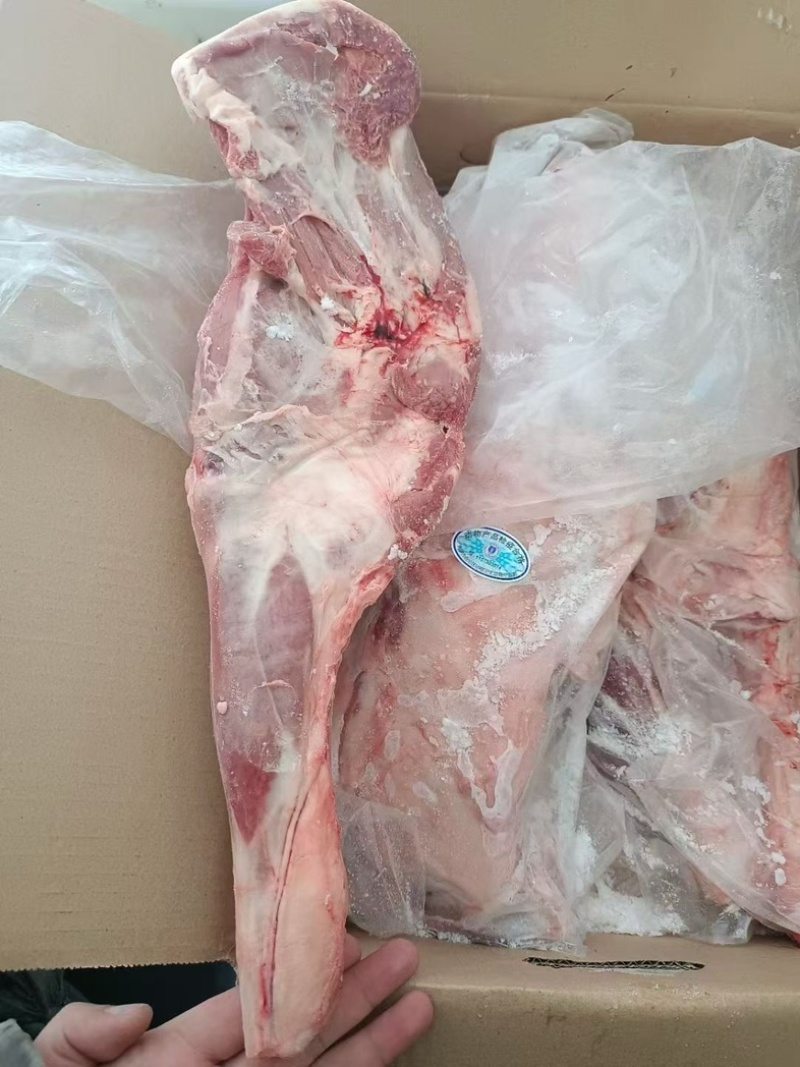 内蒙古精品羊副产品羊前腿/诚信经营/量大从优/工厂直发