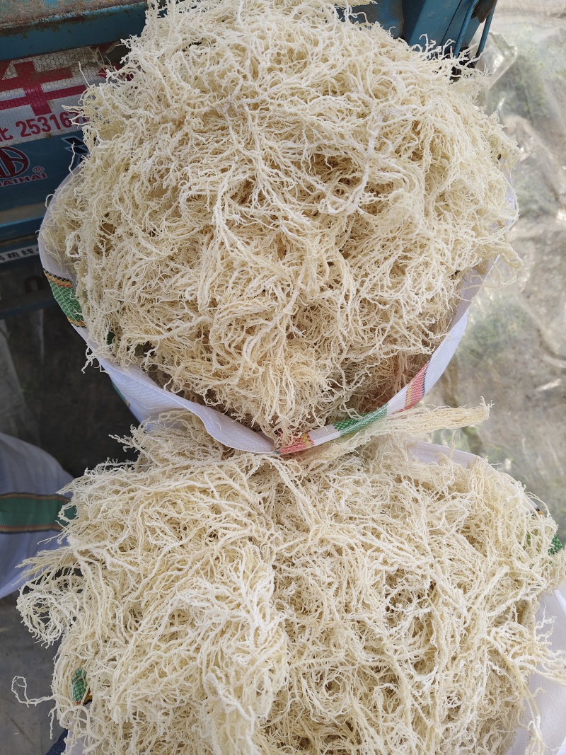龙须菜全干凉拌菜干到扎手龙须菜干货火锅店凉拌批发