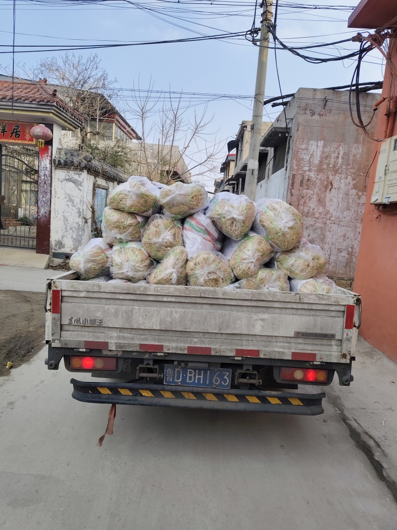 龙须菜全干凉拌菜干到扎手龙须菜干货火锅店凉拌批发