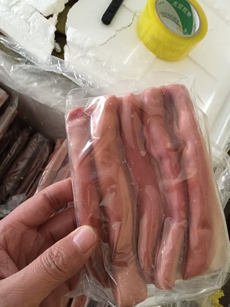 海肠，海肠批发找我，一手货源，价格美丽，品质过硬，