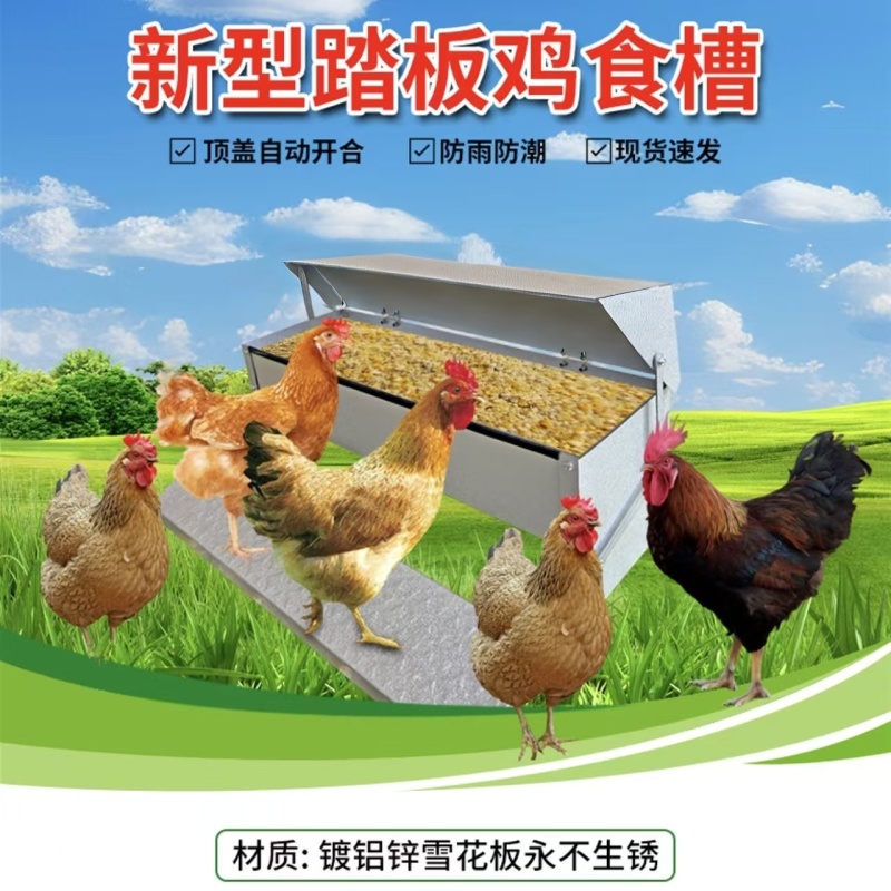 喂鸡神器，新型踏板鸡食槽