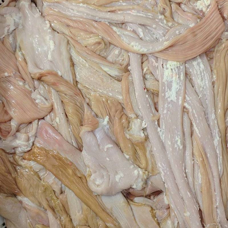 【牛大肠肥肠】黄牛的大肠！生的带油！清洗干净标准件！