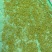 西湖龙井一两(50g)随手礼(官方版)配明前特级(手工茶)