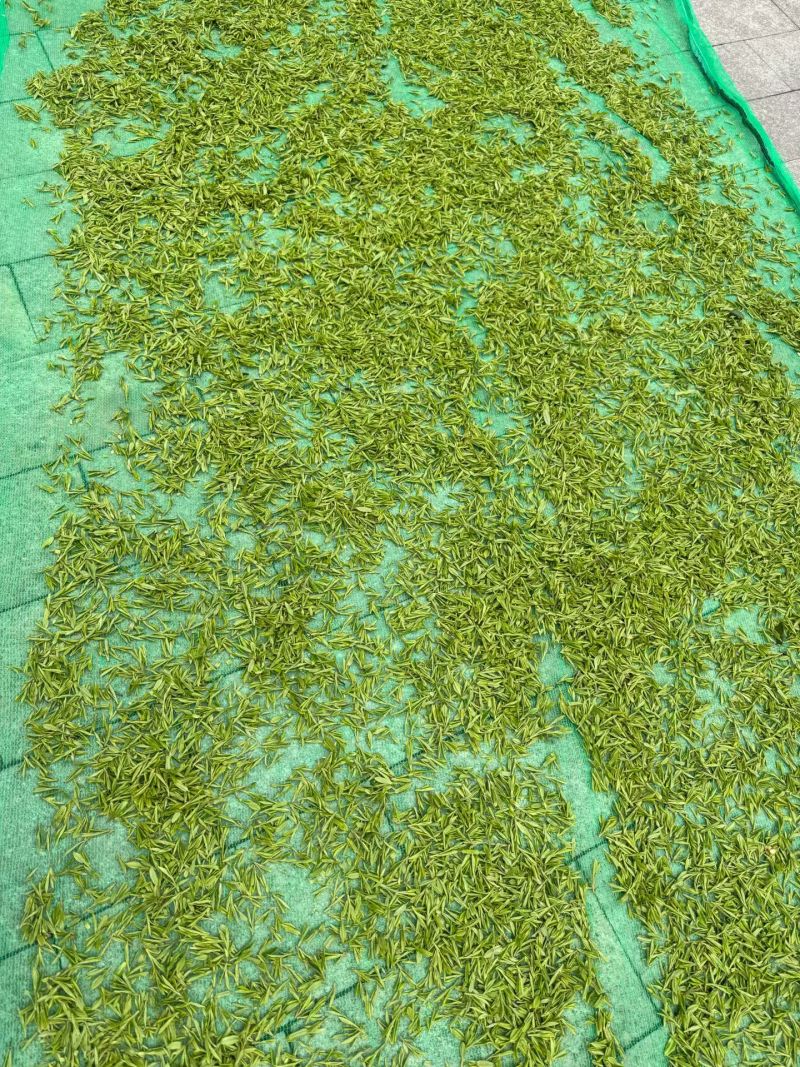 西湖龙井一两(50g)随手礼(官方版)配明前特级(手工茶)