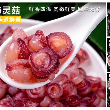 New海灵菇（形似菇，所以称之为海灵菇）嫩脆爽，好吃便宜