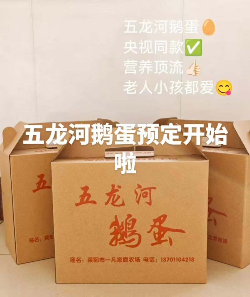 出售五龙鹅鹅蛋，豁眼鹅种蛋.均重2.1—2.6两，莱阳市