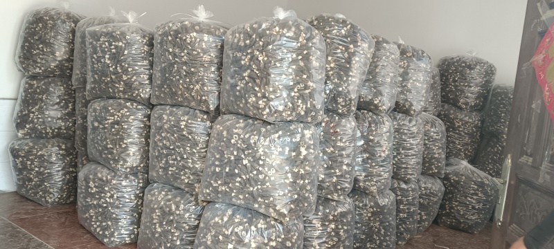 纯农产品羊肚菌需要的老板联系我