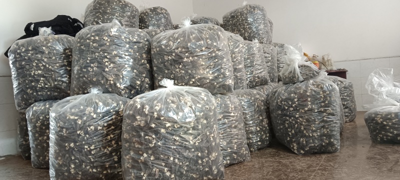 纯农产品羊肚菌需要的老板联系我