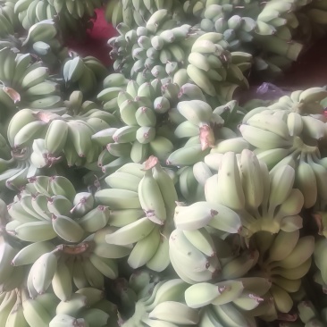 苹果香蕉