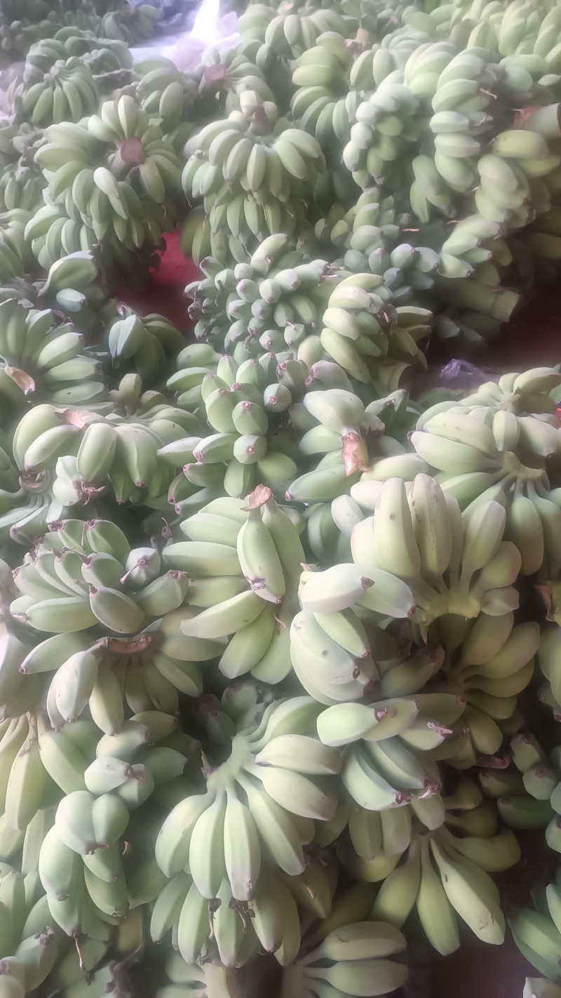 苹果香蕉