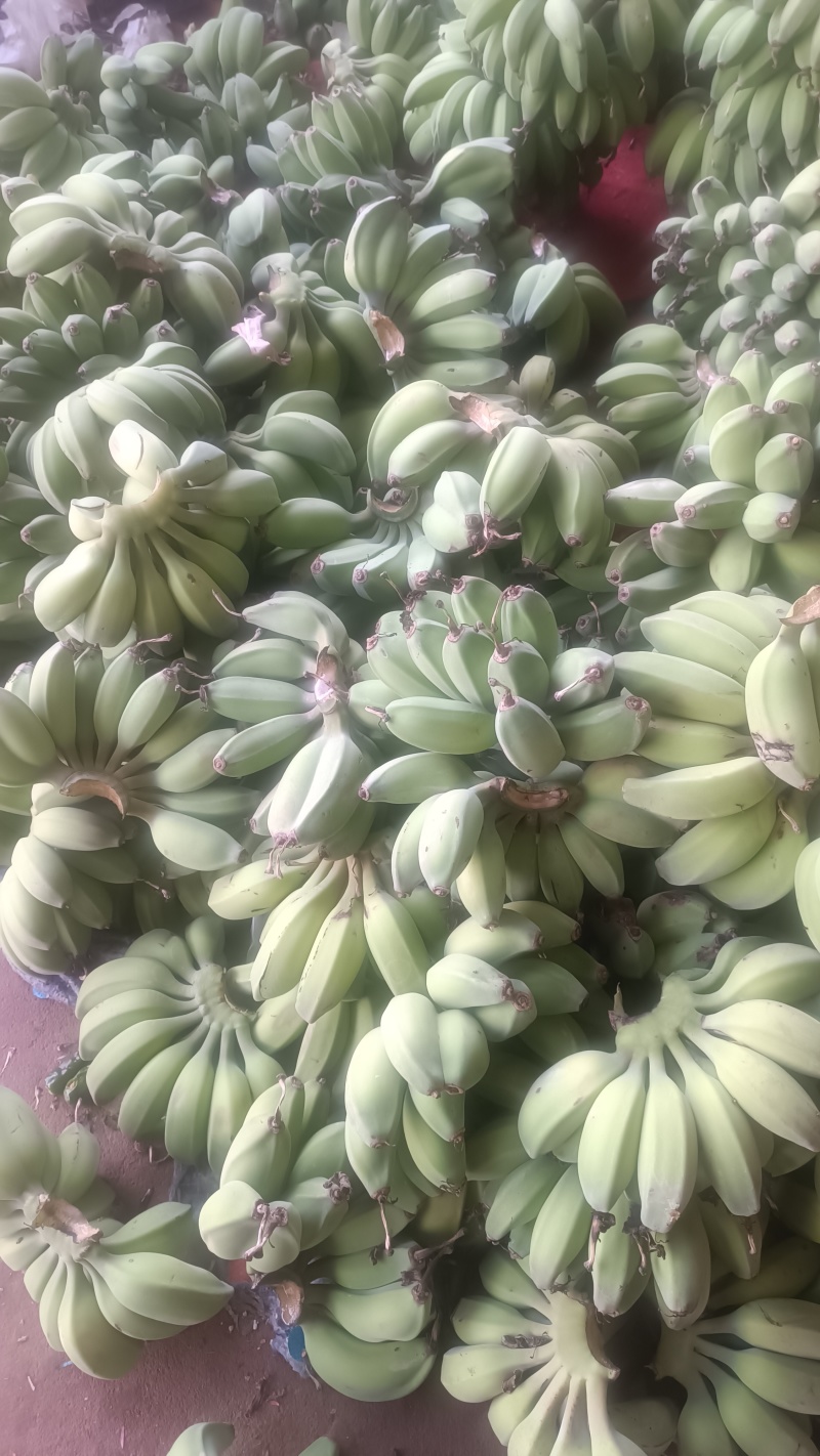 苹果香蕉