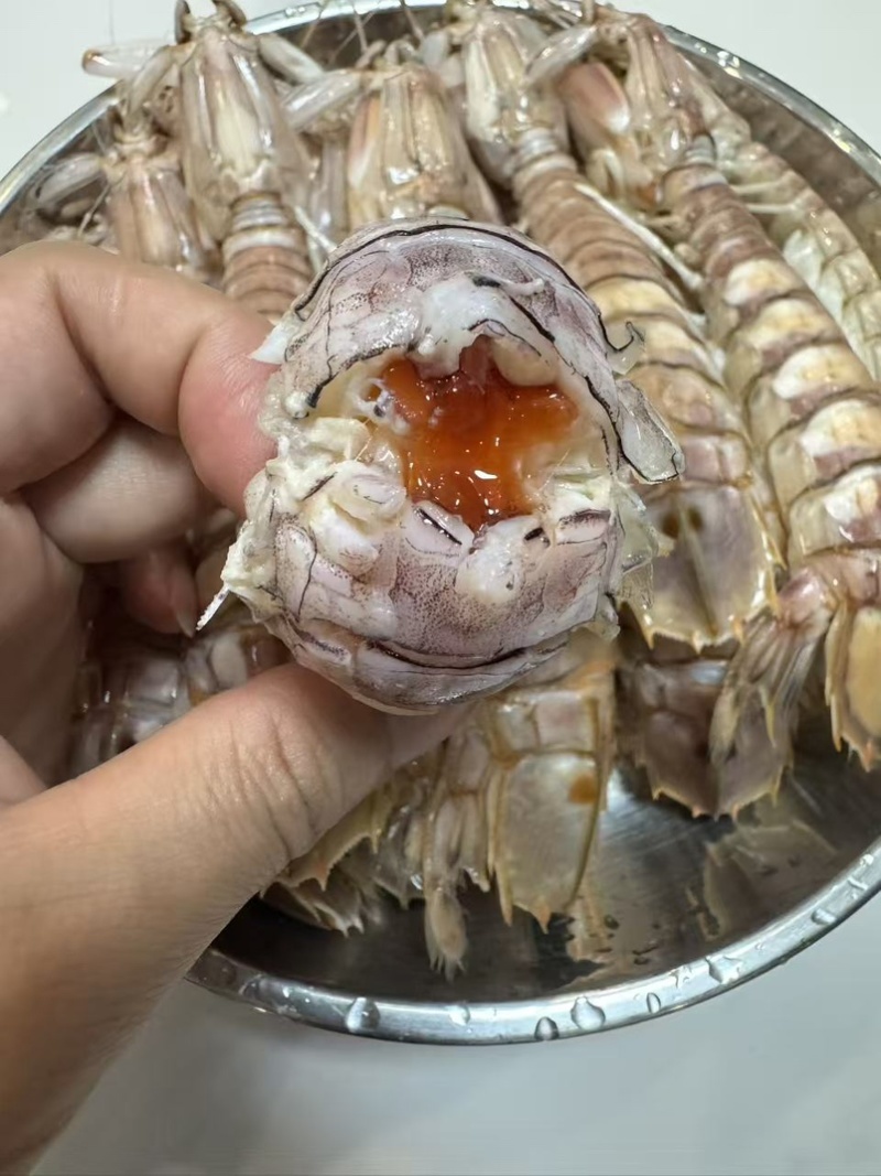 皮皮虾