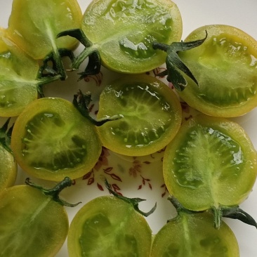 千禧果马上大量上市了