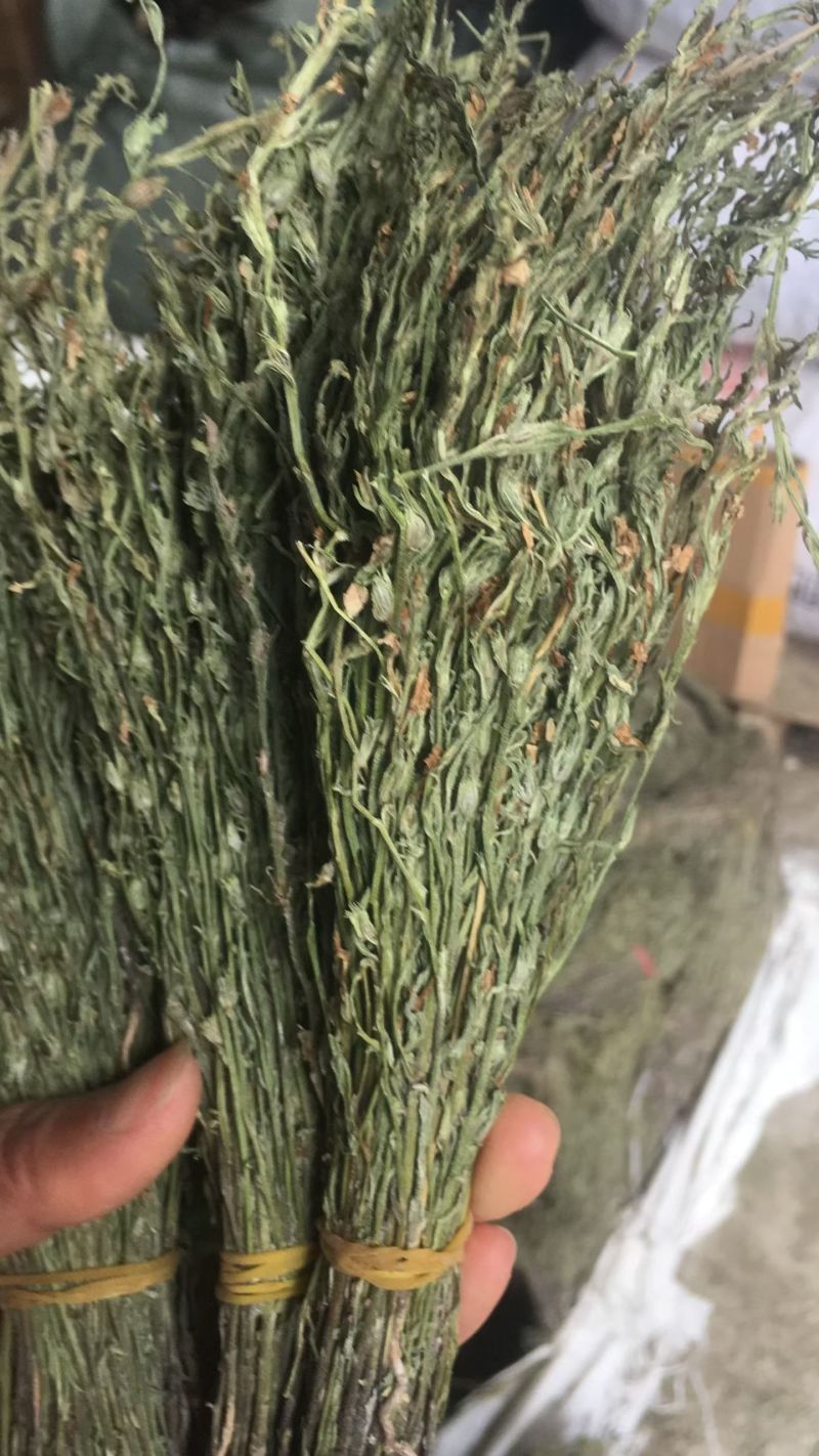 正宗独脚金！疳积草！纯干货无黄，颜色青绿！！质量保证！！