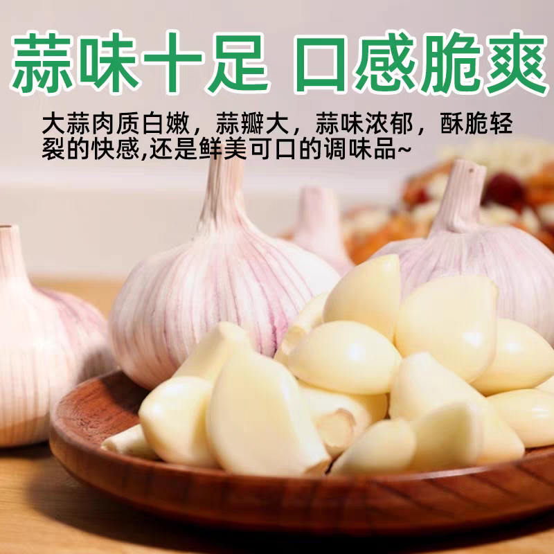 紫皮蒜蒜头独蒜拌蒜产地看货论价保质保量