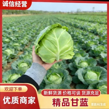 【湖北甘蓝】质量保证，价格不高，产地一手货源！