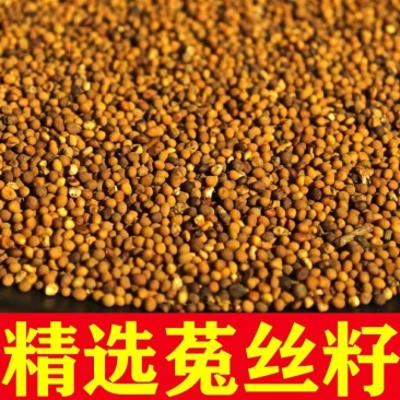 菟丝子中药材无娘藤吐丝子兔丝子水洗统货选货大货可议