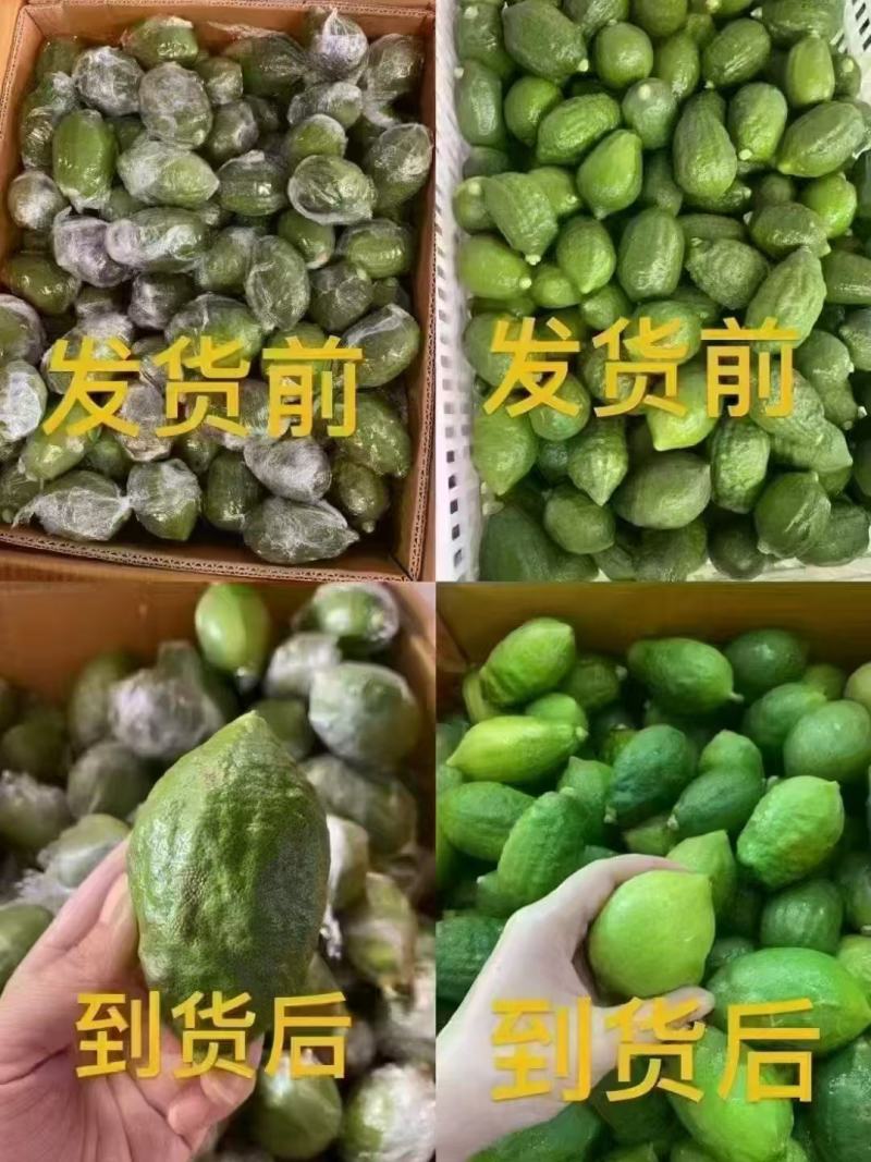 广东无籽香水柠檬