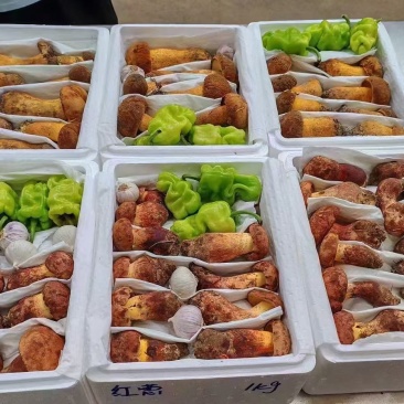云南野生菌，预售有兴趣的可以私