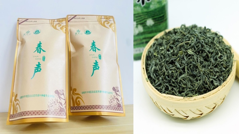 贵州高山云雾绿茶
